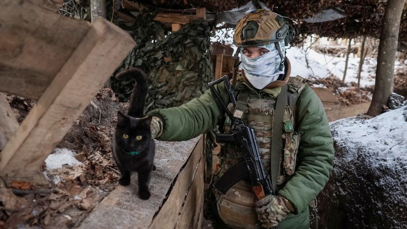 Dron salva gato y perro en el infierno del frente ucraniano