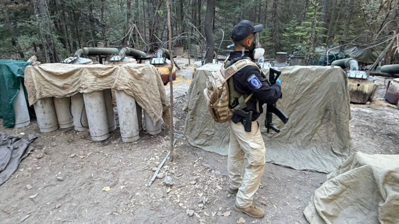 Tragedia en Chihuahua: Mueren instructores de EE.UU. y agentes mexicanos tras redada antidrogas