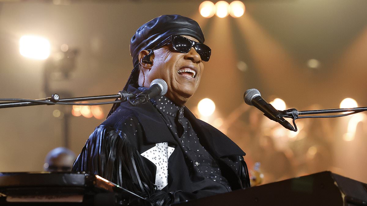 Stevie Wonder y la casa que se le fue de las manos