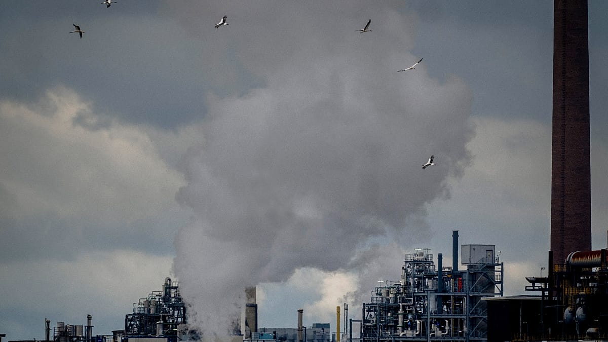 BASF sube sus previsiones y dispara las alarmas del precio de la energía